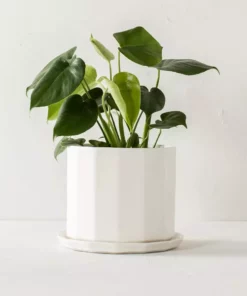 Convivial Riveted Porcelain Planter