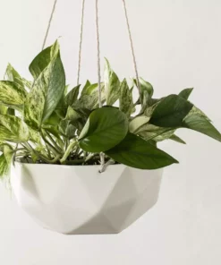 Convivial New Arrivals Geometric Porcelain Hanging Planter