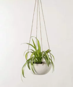 Convivial Minimal Stoneware Hanging Planter New Arrivals