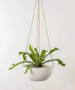 Convivial Minimal Stoneware Hanging Planter New Arrivals