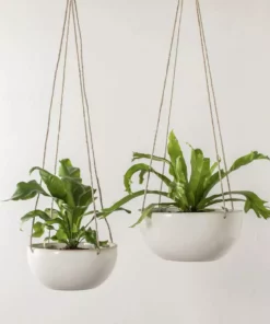 Convivial Minimal Stoneware Hanging Planter New Arrivals