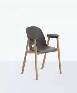Emeco Alfi Recycled Armchair - Ash