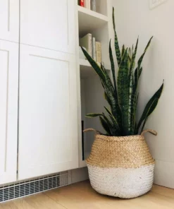 Amante Marketplace Kophinos Basket - White Dipped Best Sellers