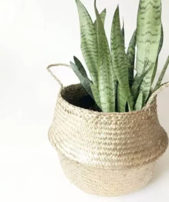 Amante Marketplace Kophinos Basket - Gold