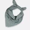 Anchal Best Sellers Graph Bandana - Spruce