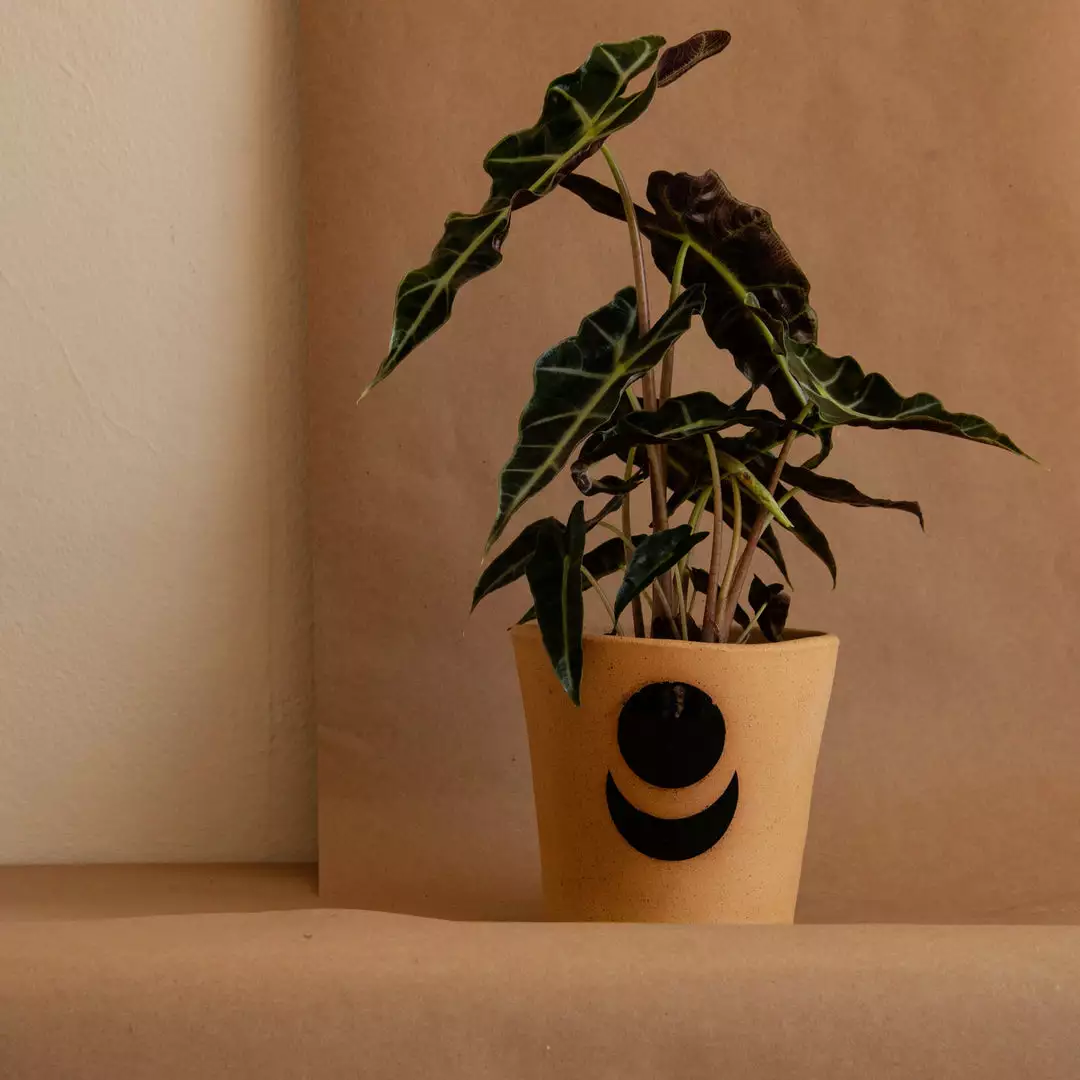 Anne Gates Studio Moon Ceramic Planter 1 Anne Gates Studio Moon Ceramic Planter