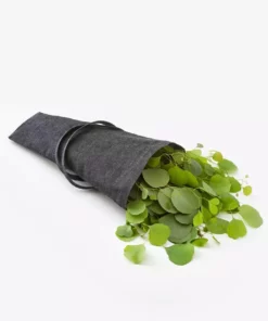 Aplat Jardin Zero Waste Flower Tote Storage