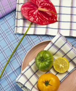 Archive New York San Lucas Plaid Napkin Set Kitchen + Dining