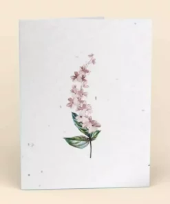 Cute Root Greeting Cards Assorted Botanical Plantable Cards - 8 Pack