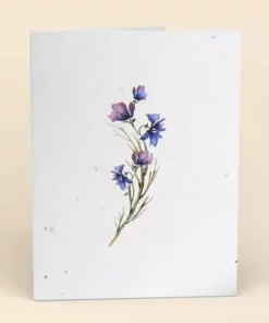 Cute Root Greeting Cards Assorted Botanical Plantable Cards - 8 Pack