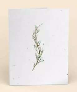 Cute Root Greeting Cards Assorted Botanical Plantable Cards - 8 Pack