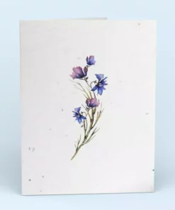 Cute Root Greeting Cards Assorted Botanical Plantable Cards - 8 Pack
