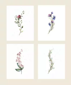 Cute Root Greeting Cards Assorted Botanical Plantable Cards - 8 Pack