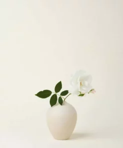 August Sage Sofia Oval Bud Vase - Tierra Home Goods