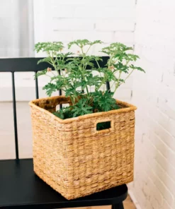 Azizi Life Banana Twine Cube Home Goods