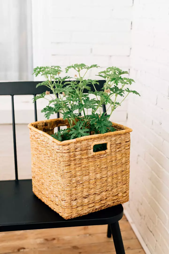 Azizi Life Banana Twine Cube Home Goods 2 Azizi Life Banana Twine Cube Home Goods