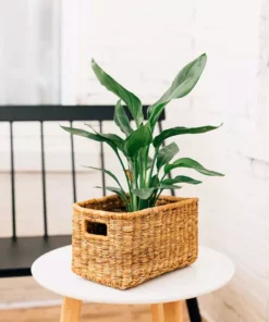 Azizi Life Banana Twine Demi Panier Best Sellers