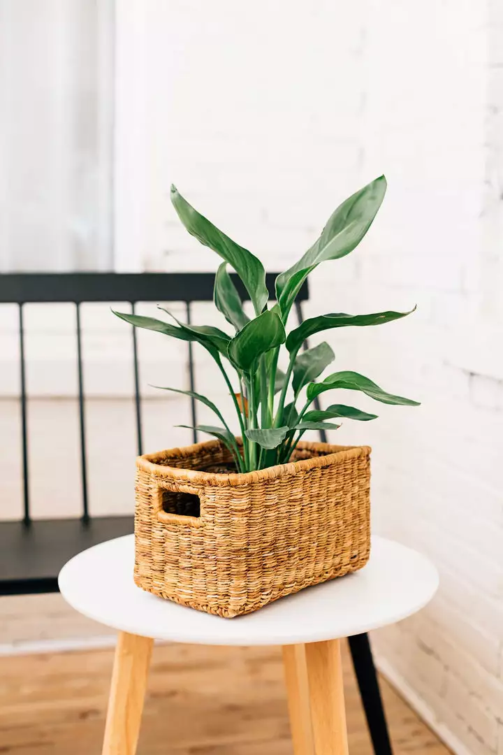 Azizi Life Banana Twine Demi Panier Best Sellers 1 Azizi Life Banana Twine Demi Panier Best Sellers