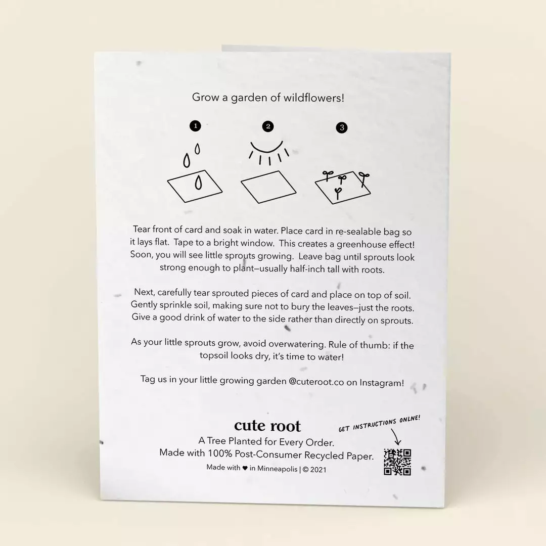 Cute Root Beloved Dove Plantable Hanukkah Cards - 10 Pack 2 Cute Root Beloved Dove Plantable Hanukkah Cards - 10 Pack