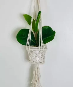 Ceremonia Best Sellers Plant Hanger Basket - Cream