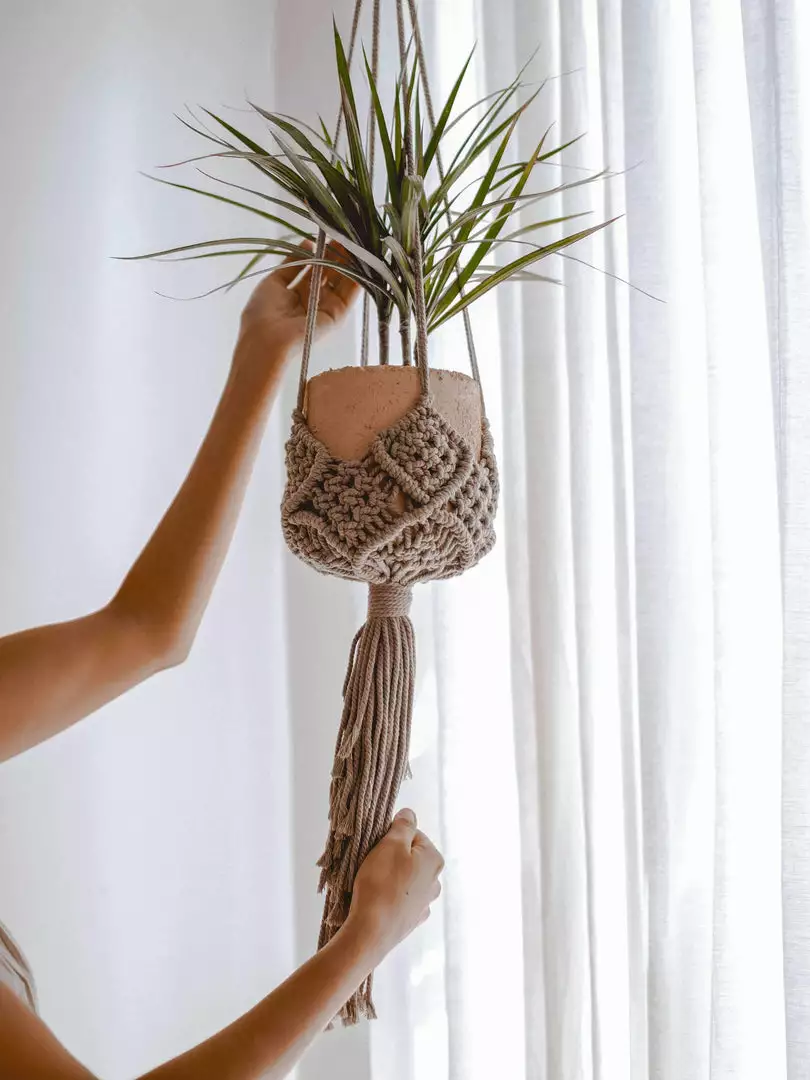 Ceremonia Darling Macramé Plant Hanger - Cafecito 1 Ceremonia Darling Macramé Plant Hanger - Cafecito