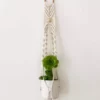 Ceremonia Best Sellers Small Macramé Plant Hanger