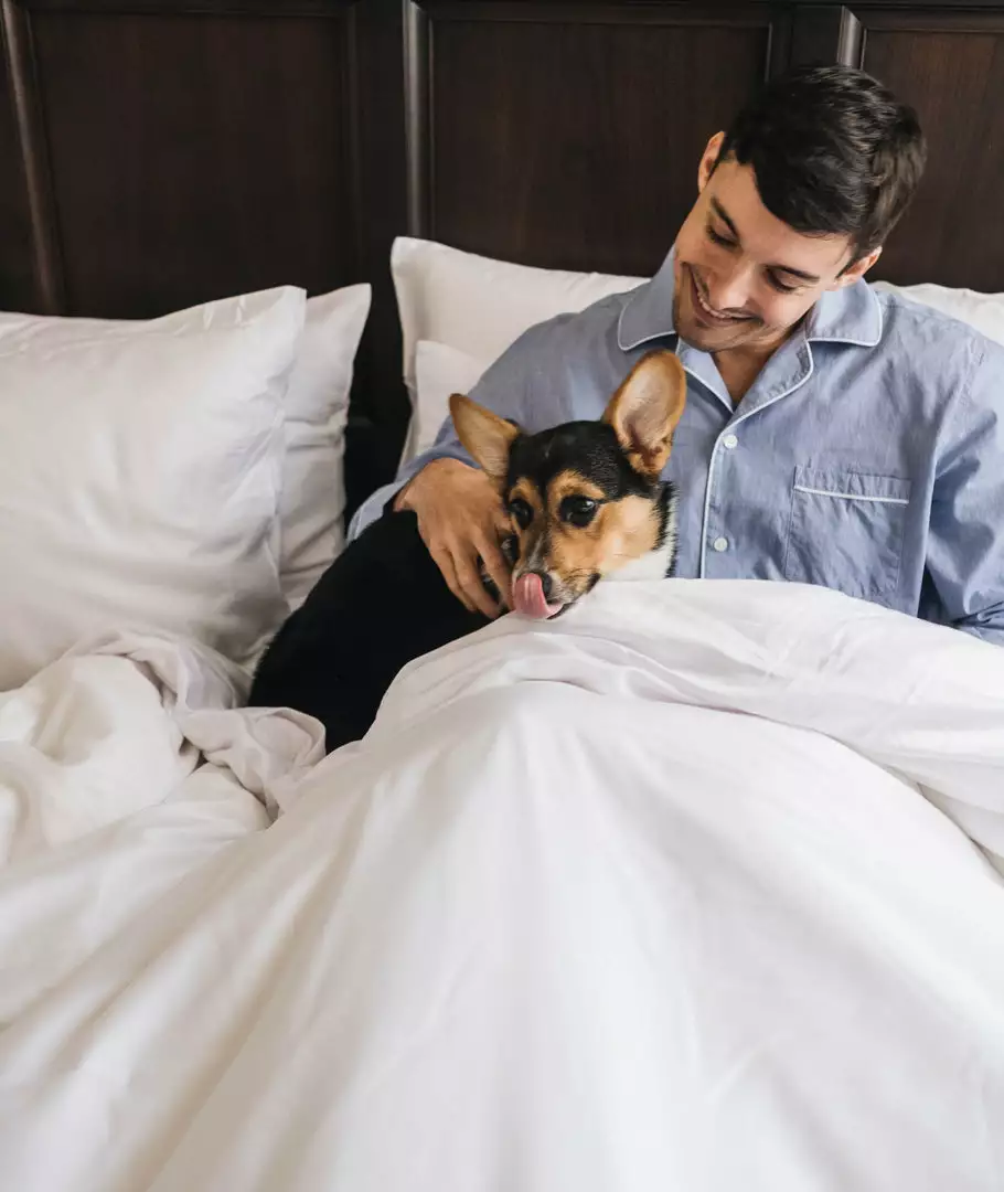 Eucalypso Classic Tencel Eucalyptus Sheet Set 10 Eucalypso Classic Tencel Eucalyptus Sheet Set