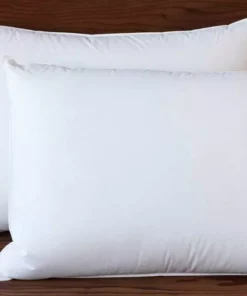Coyuchi Feather/Down Pillow