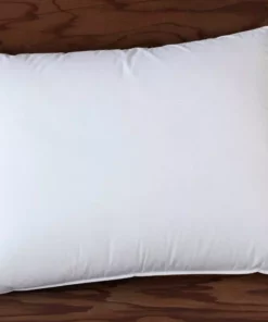 Coyuchi Feather/Down Pillow