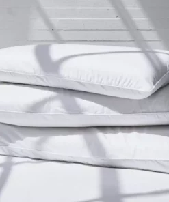 Coyuchi Latex Molded Pillow