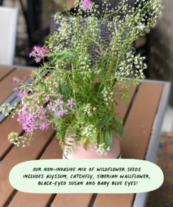 Cute Root Beloved Dove Plantable Hanukkah Cards - 10 Pack 13 Cute Root Beloved Dove Plantable Hanukkah Cards - 10 Pack