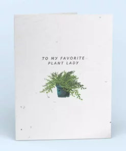 Cute Root My Favorite Plant Lady Plantable Cards - 10 Pack Greeting Cards