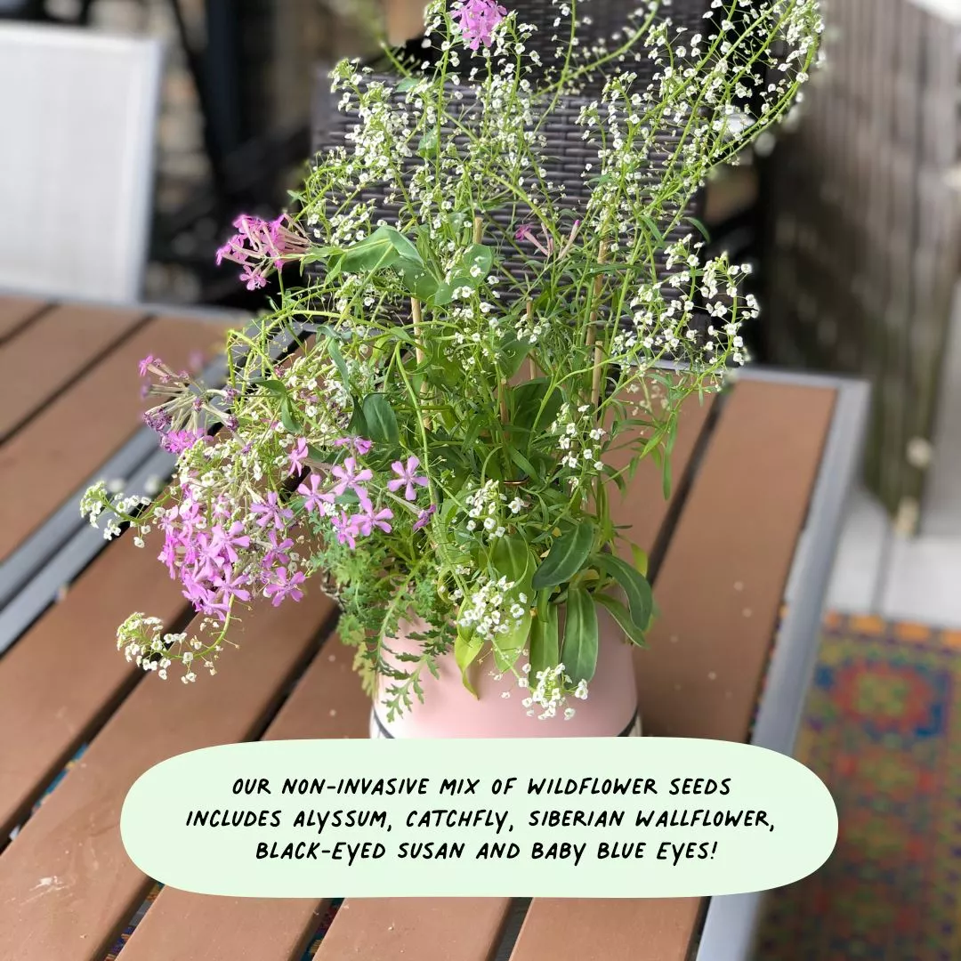 Cute Root Watercolor Gardens Plantable Cards - 8 Pack 7 Cute Root Watercolor Gardens Plantable Cards - 8 Pack