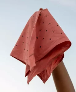 Jenni Earle Accessories Explore More Bandana