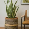KAZI Extra Large Mwiba Grass Planter Home Goods