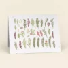 Cute Root Holiday Leaves Plantable Cards - 10 Pack