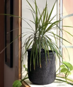 Mbare Best Sellers Iringa Baskets - Rich Black