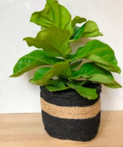 Amante Marketplace Home Goods Jute Planter
