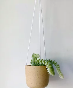 Katie Mudd Best Sellers Natural Stoneware Hanging Planter
