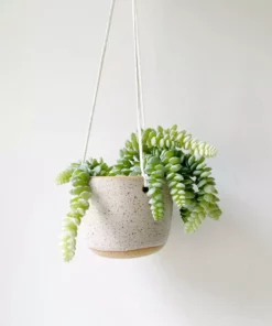 Katie Mudd Best Sellers Hanging Stoneware Planter - White