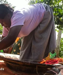 KAZI Large Forest Green + Burgundy Tabia Woven Wall Plate Home Goods