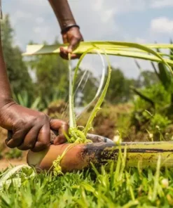 KAZI Home Goods Banana Striped Storage Basket