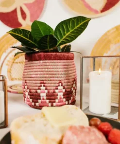 KAZI Berry Kitchen Utensil Holder Storage