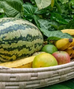 KAZI Natural Raffia Patterned Oval Tray Home Goods