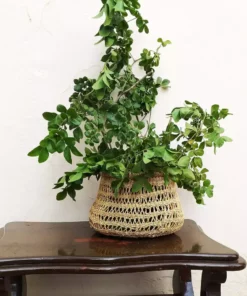 KAZI Home Goods Round Tapered All Natural Lace Basket