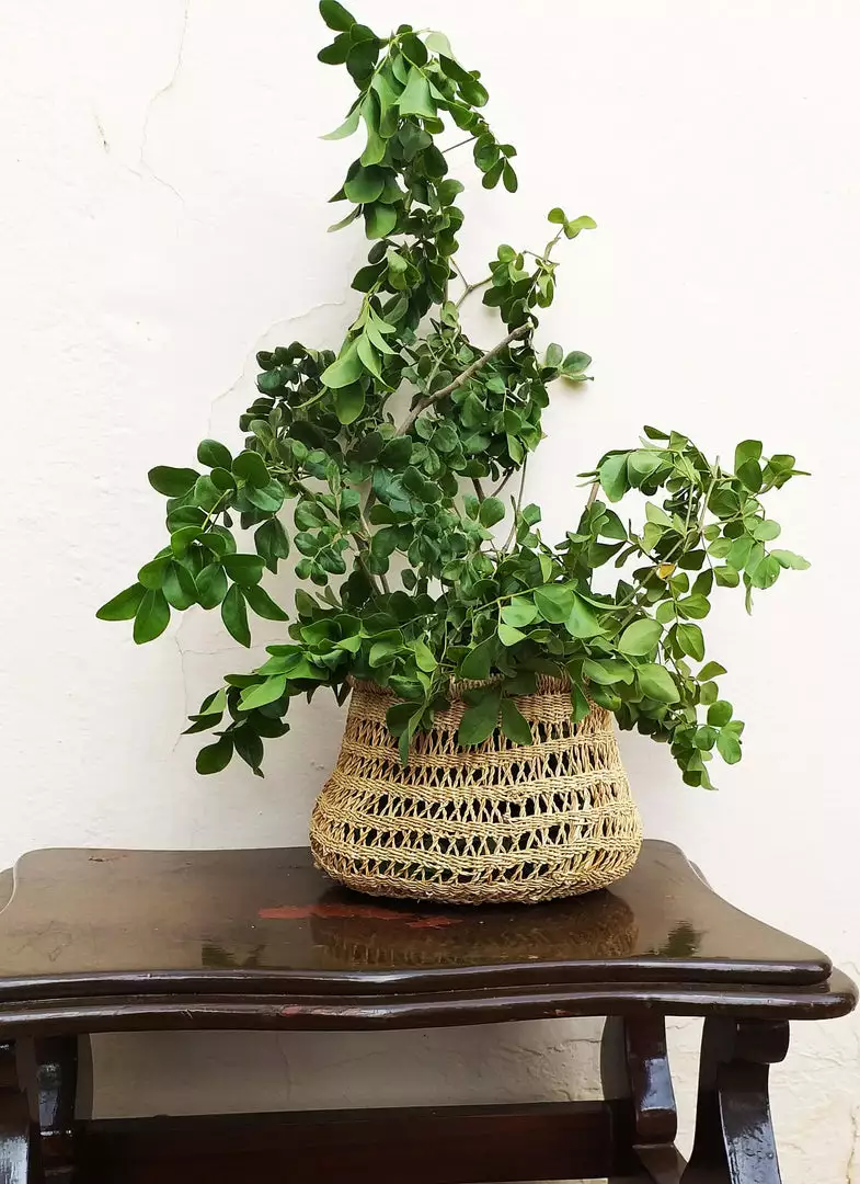 KAZI Home Goods Round Tapered All Natural Lace Basket 2 KAZI Home Goods Round Tapered All Natural Lace Basket