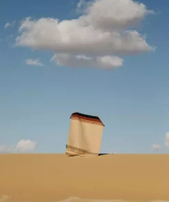 Kiliim Oasis Wool Runner / Rug Home Goods 8 Kiliim Oasis Wool Runner / Rug Home Goods