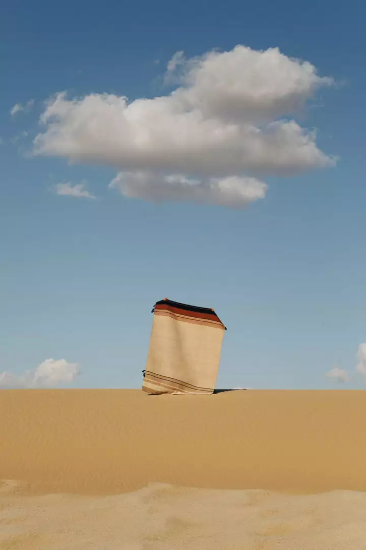 Kiliim Oasis Wool Runner / Rug Home Goods 4 Kiliim Oasis Wool Runner / Rug Home Goods