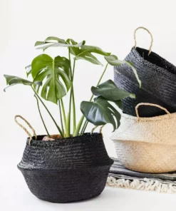 Amante Marketplace Kophinos Basket - Black