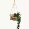 Korissa Home Goods Jhuri Single Hanging Basket